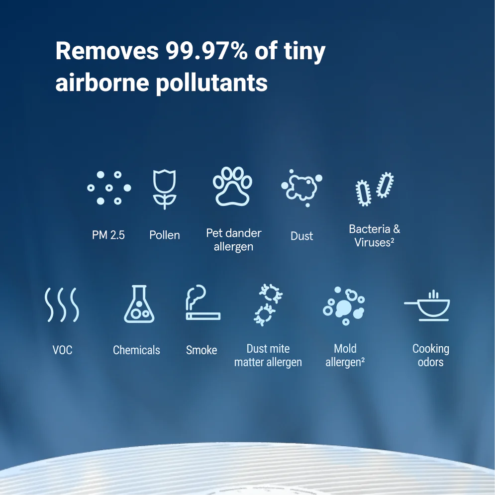 BlueAir Air Purifier