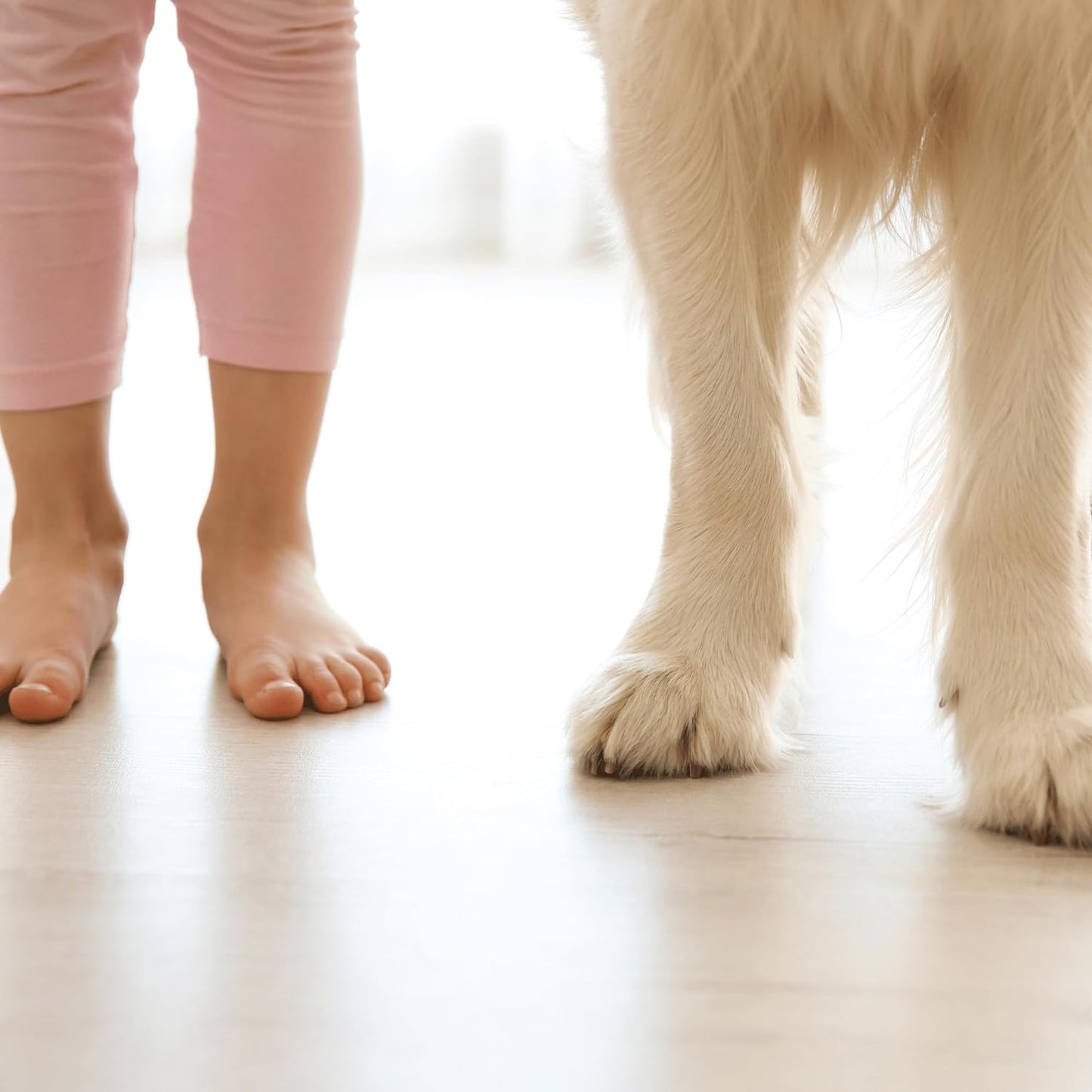 uietWalk LV Luxury Vinyl, Laminate, or Wood Underlayment (Float, Glue, or Nail) w/Vapor Barrier- Sound Reduction, Compression Resistant, Moisture Protection 6'x60’ Roll (Covers 360 sf) QW360LV