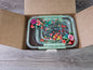 NEW The Pioneer Woman Painted Meadow Rectangle Tritan Food Storage Containers with Tritan Lid