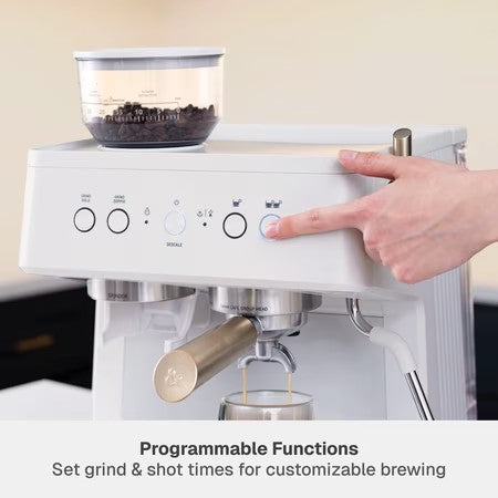 Thyme & Table 15-Bar Espresso Machine