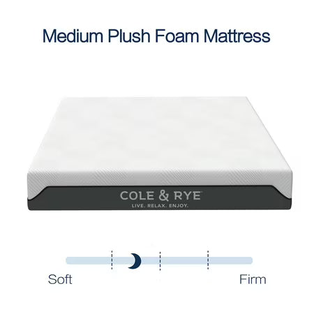 Cole & Rye Spirit 12" Plush Gel Hybrid Queen