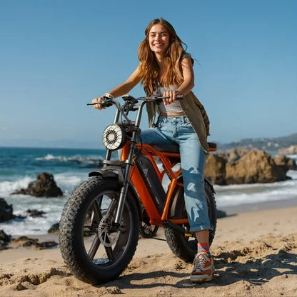 TST Electric Bike 750W Peak 20 Fat Tire UL2849