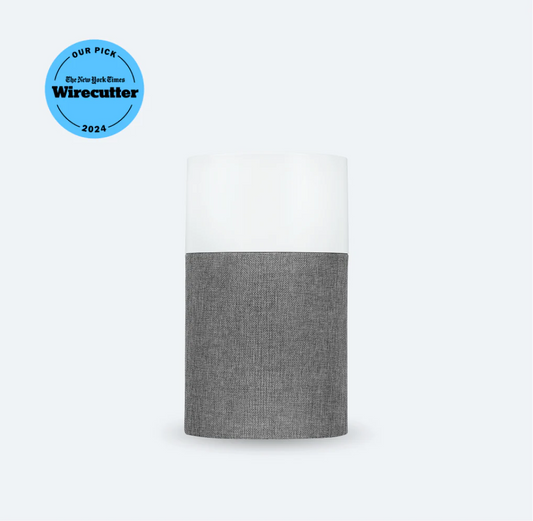 BlueAir Air Purifier