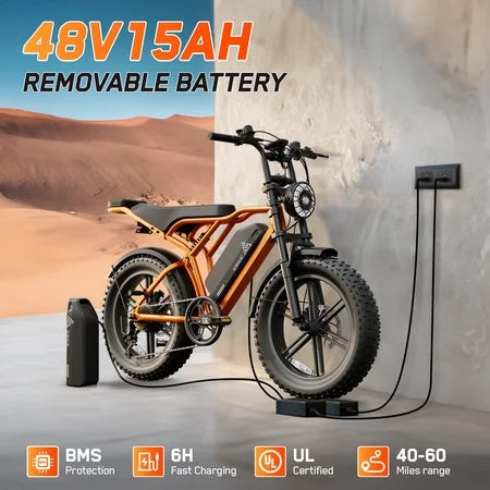 TST Electric Bike 750W Peak 20 Fat Tire UL2849