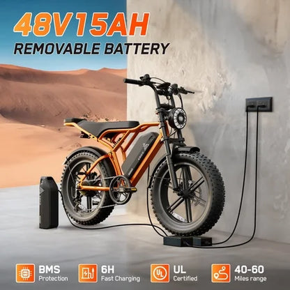 TST Electric Bike 750W Peak 20 Fat Tire UL2849