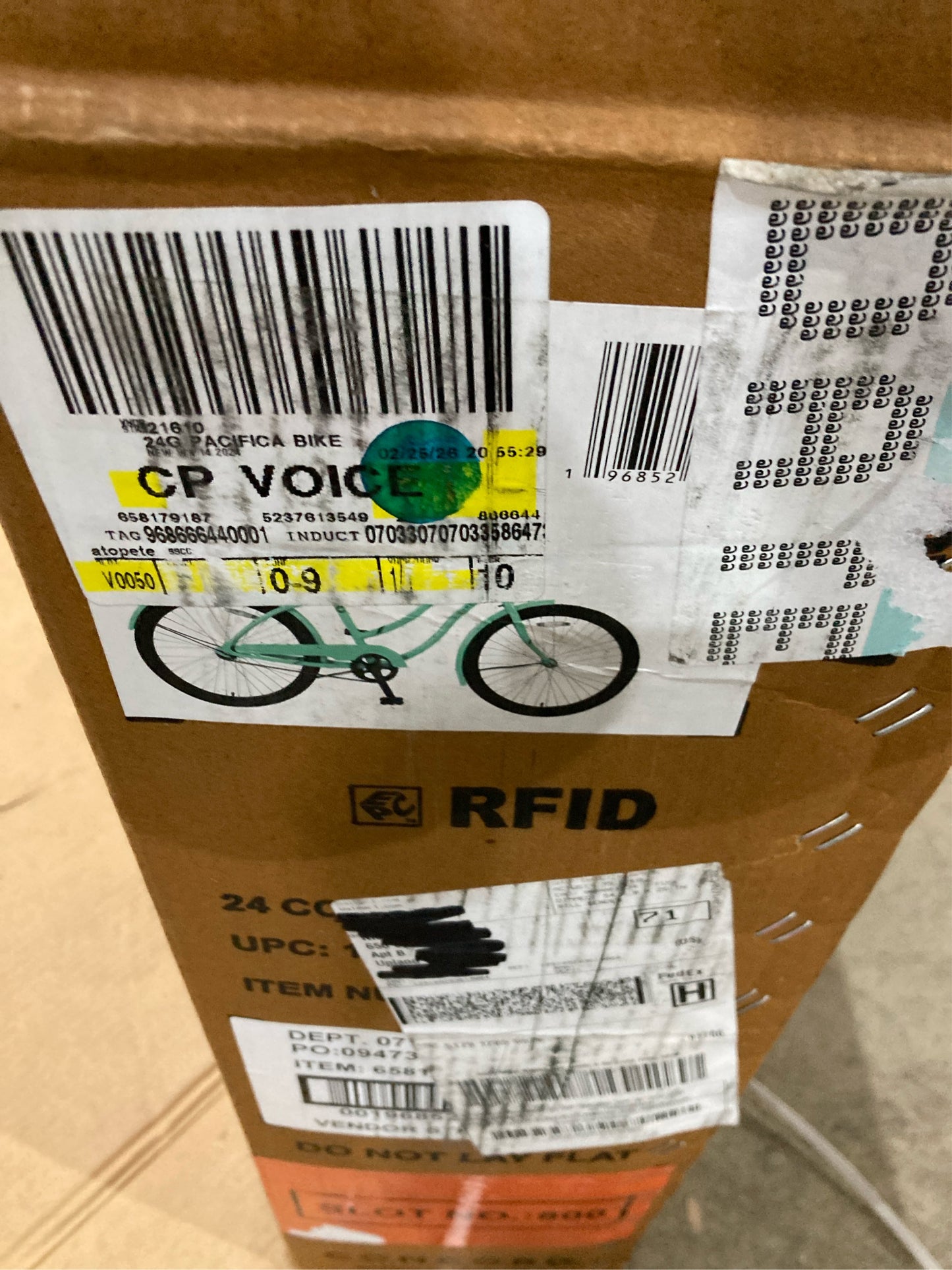 Concord 24" Pacifica Cruiser Bicycle, Sea Green