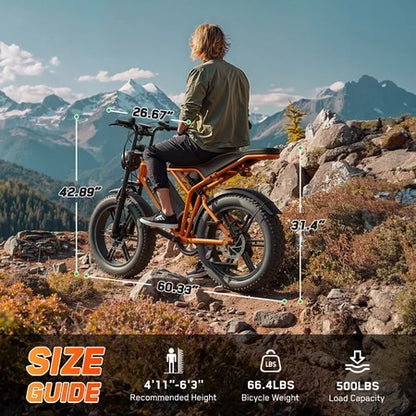 TST Electric Bike 750W Peak 20 Fat Tire UL2849
