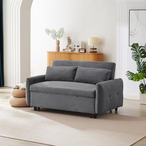 Pull-Out Sofa Bed with Adjustable Backrest, 2 Seat Loveseat Lounge, Two Throw Pillows and Memory Foam Mattress Convertible Sleeper Couch, Type C and USB Ports for Living Room (Dark Grey-DG)