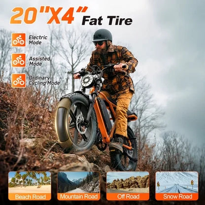 TST Electric Bike 750W Peak 20 Fat Tire UL2849