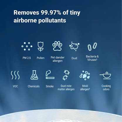 BlueAir Air Purifier