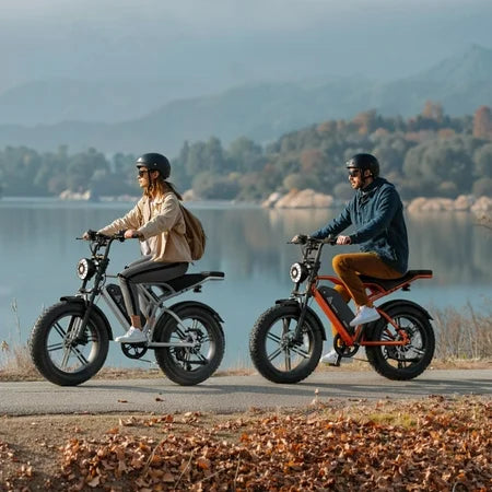 TST Electric Bike 750W Peak 20 Fat Tire UL2849