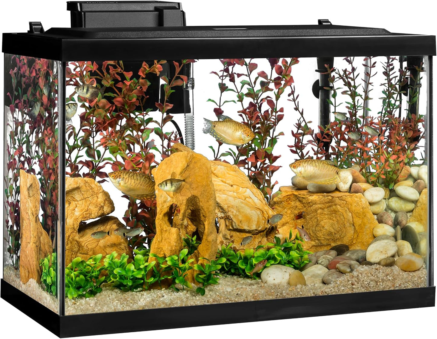 Tetra 20 Gallon Complete Tropical Fish Tank Kit