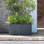 Deroma Gravity Planter 23x10x10 in, plastic