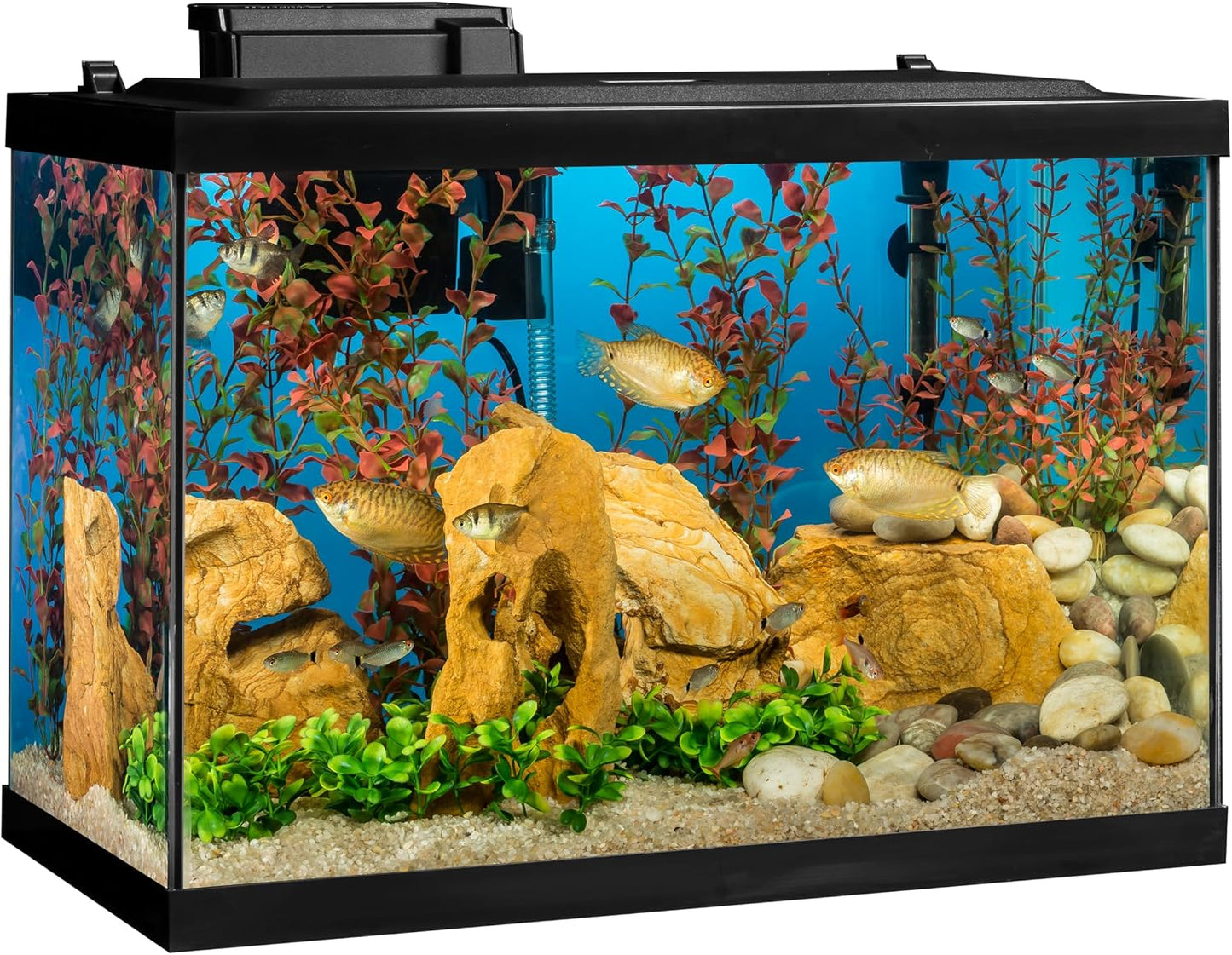 Tetra 20 Gallon Complete Tropical Fish Tank Kit