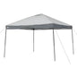 Ozark Trail 12' x 12' Instant Canopy - Gray