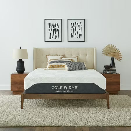 Cole & Rye Spirit 12" Plush Gel Hybrid Queen