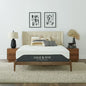Cole & Rye Spirit 12" Plush Gel Hybrid Queen