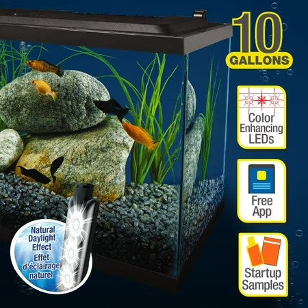 Tetra 10 Gallon Glass LED Aquarium Kit