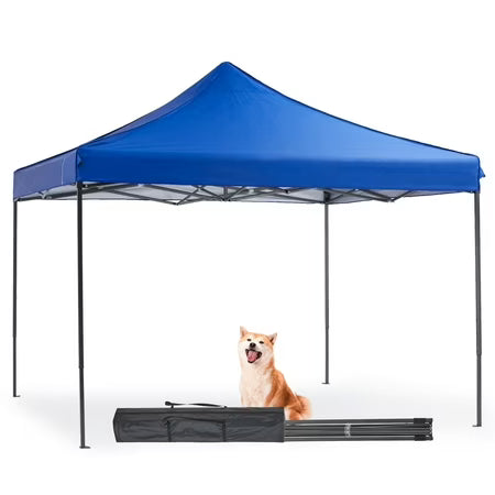 edx 10x10 Pop Up Canopy Tent with Sand Bags