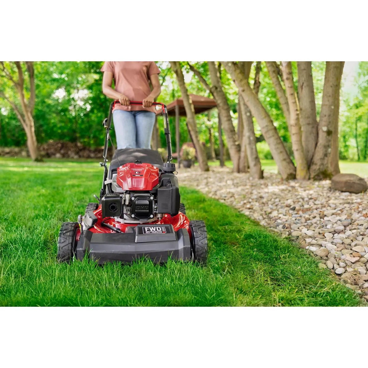 Craftsman M220 21 in. 163cc Gas Mower
