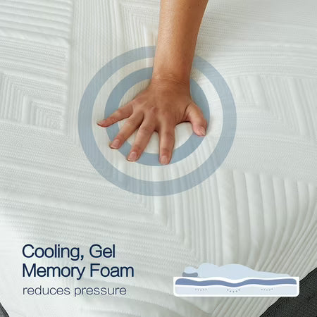 Cole & Rye Spirit 12" Plush Gel Hybrid Queen