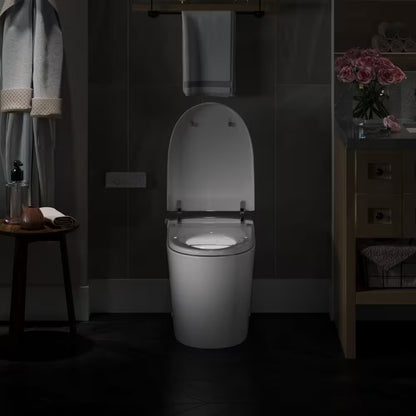 Horow Tankless Smart Toilet Bidet with Flush