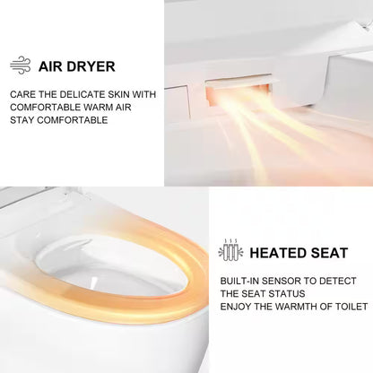 Horow Tankless Smart Toilet Bidet with Flush
