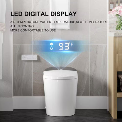 Horow Tankless Smart Toilet Bidet with Flush