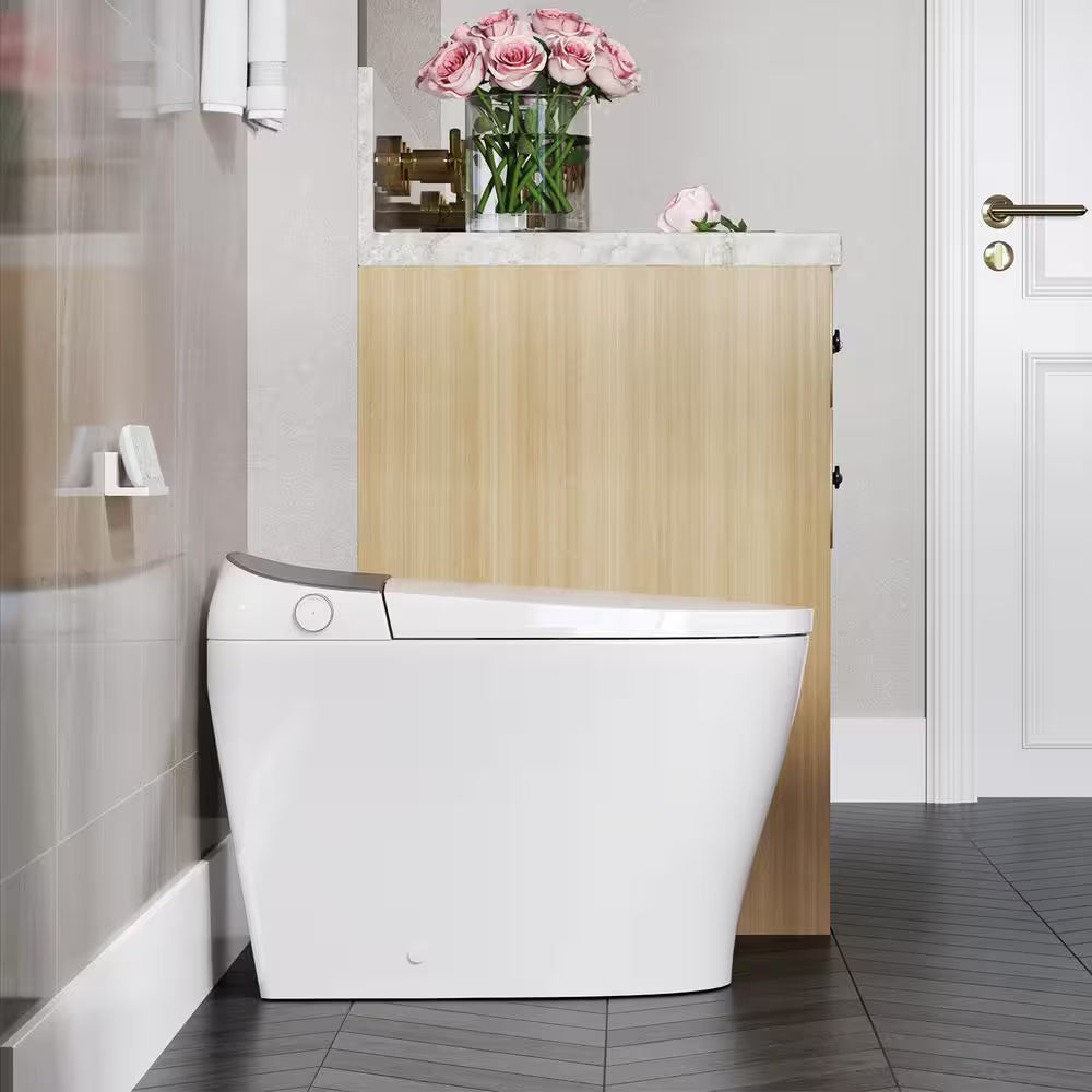 Horow Tankless Smart Toilet Bidet with Flush