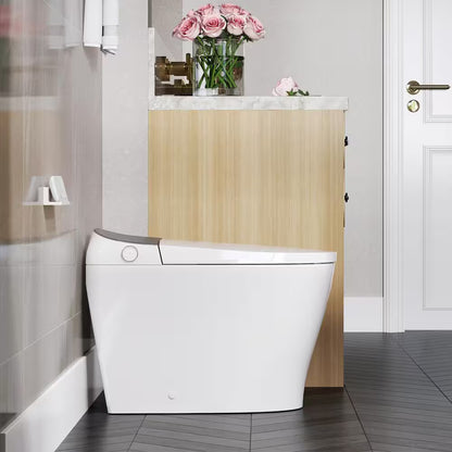 Horow Tankless Smart Toilet Bidet with Flush
