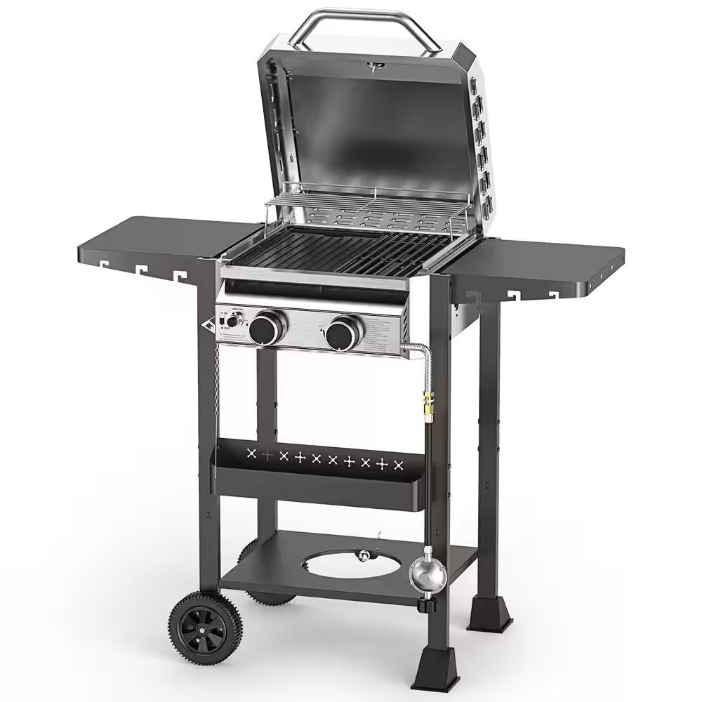 2-burner stainless steel propane gas grill