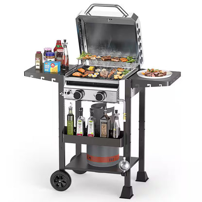 2-burner stainless steel propane gas grill