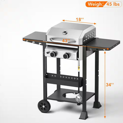2-burner stainless steel propane gas grill